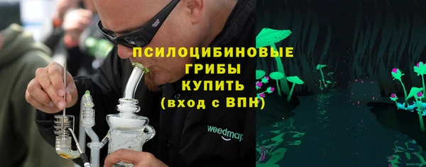 гашик Арсеньев