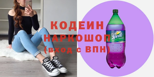 гашик Арсеньев
