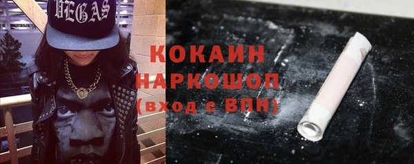 гашик Арсеньев